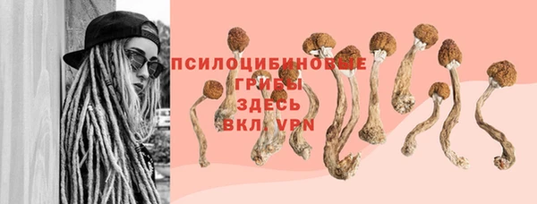 бутират Костерёво