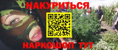 стаф Кулебаки