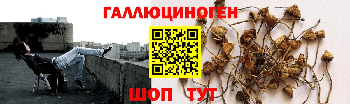 Галлюциногенные грибы прущие грибы  Вход с VPN  Псилоцибиновые грибы GOLDEN TEACHER  Кудымкар 